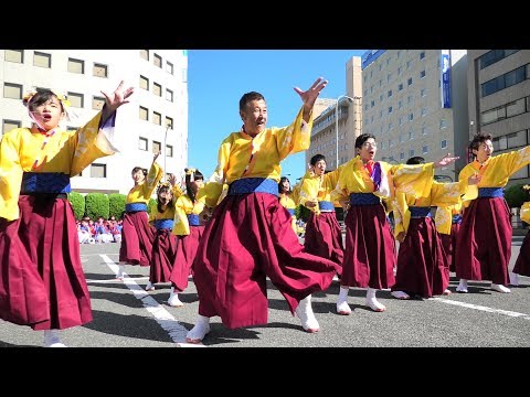 「 志舞 」安濃津よさこい2019【津駅前】