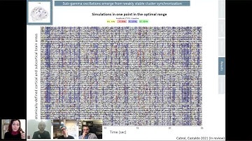 Francesca Castaldo : Synchronization in the Connectome: Metastable oscillatory modes emerge fro...
