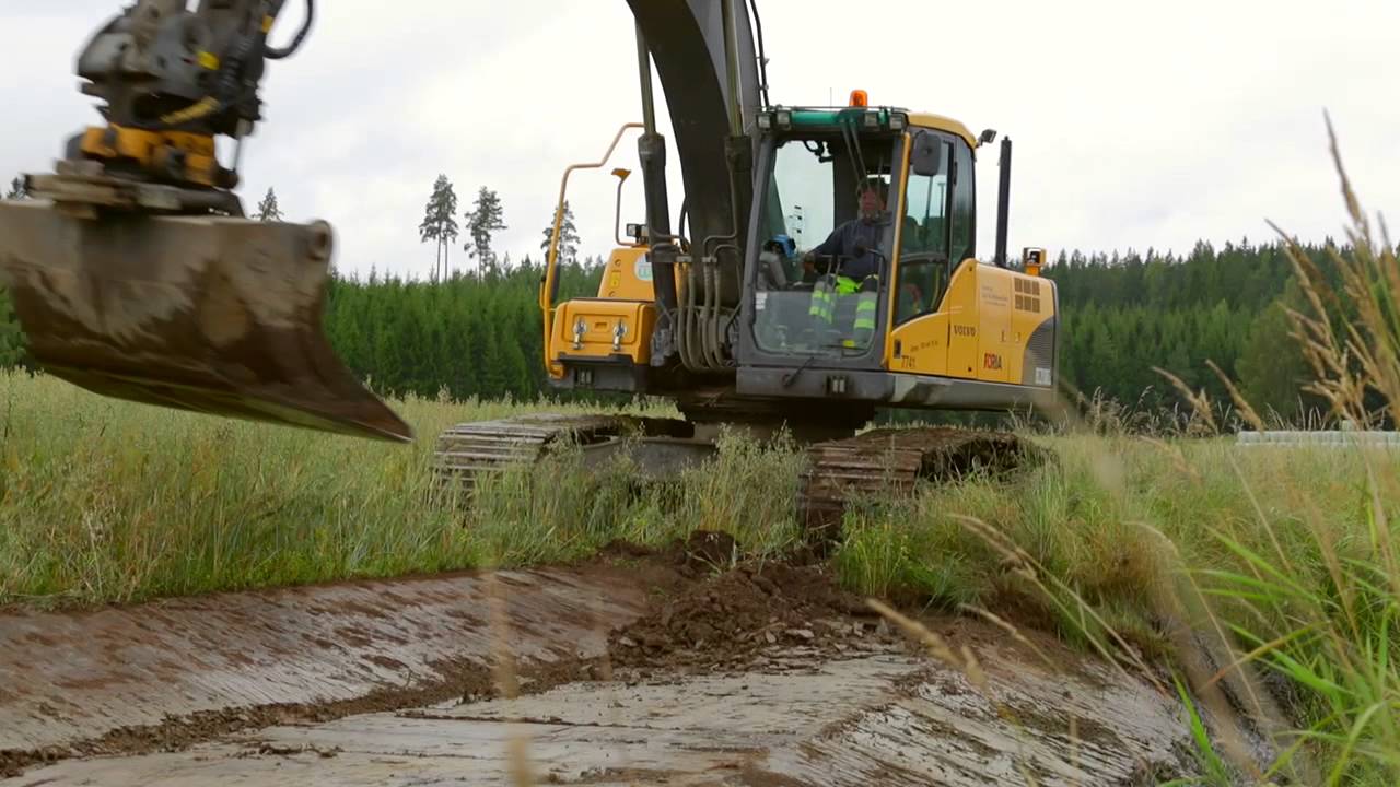 Tvåstegsdiken | Hur, Var, Varför