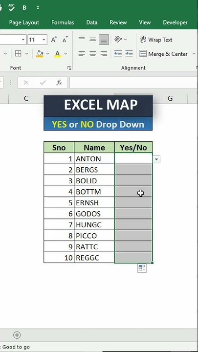 How to Create Yes/No Drop down in Excel | MS Excel Tutorial - YouTube