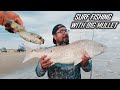 Surf Fishing with Big Mullet for Bull Redfish