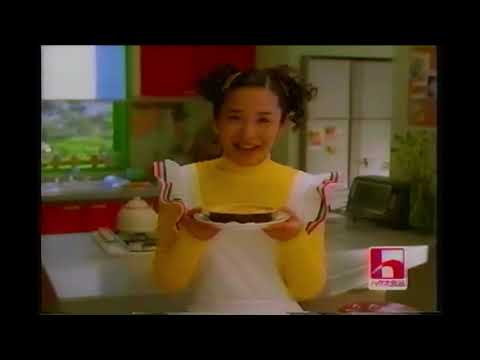 懐かしいテレビCM　平成8年  1996年  ロッドスチュアート　LIVE8000円　美女と野獣　劇団四季　　アノン　映画　暗殺者　シルベスター・スタローン　ウィーン交響楽団12000円