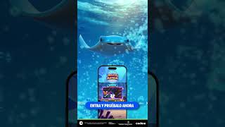Кадр из ролика «🌊🐠 Sumérgete en Manta Mayhem»
