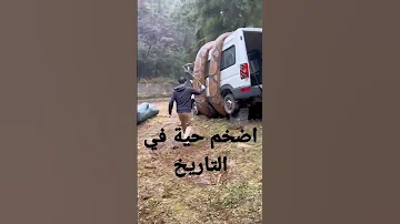 اضخم حية في التاريخ Shorts أفعى حيه ثعبان حيوانات عجائب 