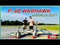 P-40 Warhawk เครื่องบินบังคับคู่เหมือนต่างไซซ์ | DNArm