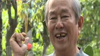 vtv2_P_900_2016-01-21_02-30-01.avi