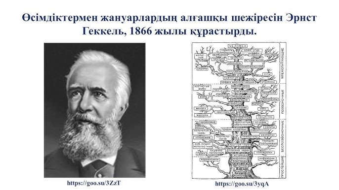 Сарина Валентина жігітті трахает