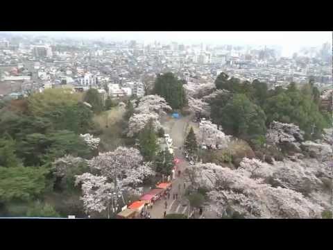 宇都宮タワー　桜満開の頃  　Utsunomiya Tower
