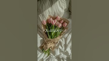 القارئ : ماجد الحازمي