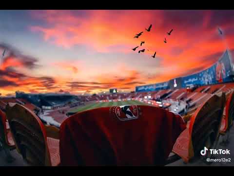 الأهلي نادي بلادي بلادي