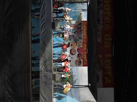 JR  E JOÃO MIRANDA DE VITORINO DE PIAES ESCARIZ S MAMEDE V VERDE N7