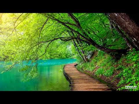 044שער הנקודים פרק ט | Harav ariel sibeoni |  Kabbale | secrets de la Torah | ochrot hayim