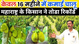 कटहल क खत स अब हग मल मल Ii Jackfruit Farming Ii Kathal Farming Ii Jackfruit Business
