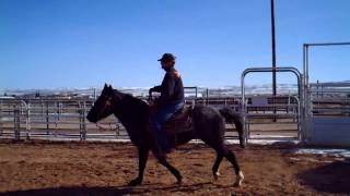 MPEG0107