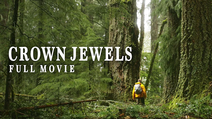 The People Protecting The Oldest Trees In America (Full Documentary)