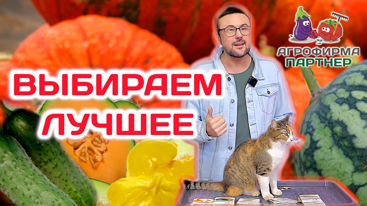 Скоро сеять бахчевые и тыквенные культуры | Выбираем лучшие сорта # ...