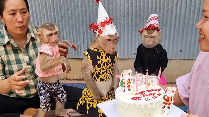 Happy My Princess Shally Birthday Joined By YaYa A...