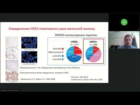 Лекарственное лечение HER2-позитивного рака молочной железы (вебинар 25 мая 2022)