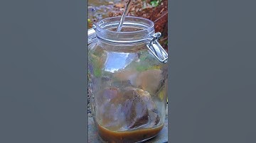 I put water in a jar and found THIS inside