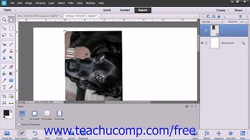 Photoshop Elements 12 Tutorial Displaying Drawing Guides Adobe Training Lesson 4.6