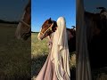 3 tane madde seçerek rutin hale getir hayatın nasıl güzelleştiğini izle ⬇️