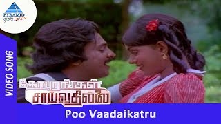 Poo Vaadaikatru Exclusive Video Song | Gopurangal Saivathillai Movie Video Songs | Mohan | Suhasini