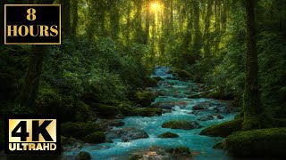 Amazing Forest Nature Water Wallpaper Screensaver Background 4K 8 HOURS Relaxing Nature Music Sleep