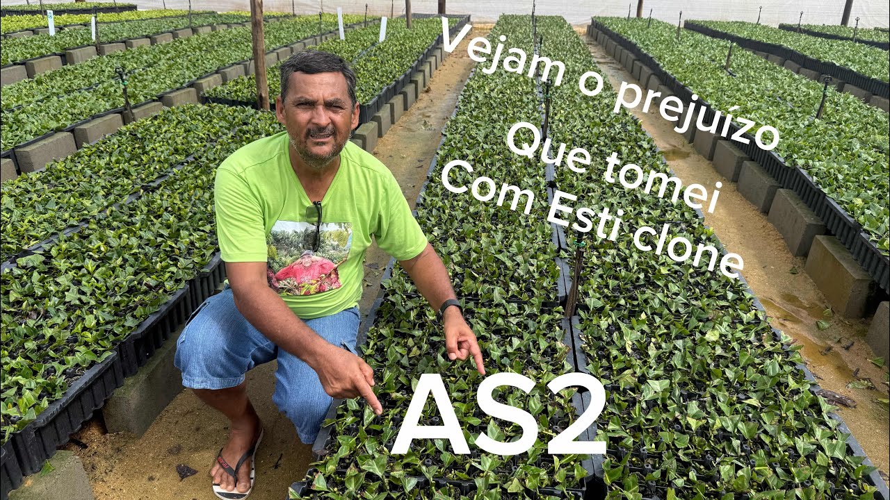 1 de janeiro de 2026