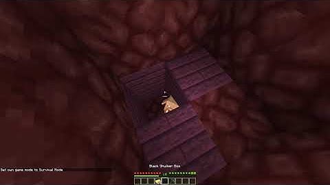 1.16.2 vanilla duplication glitch