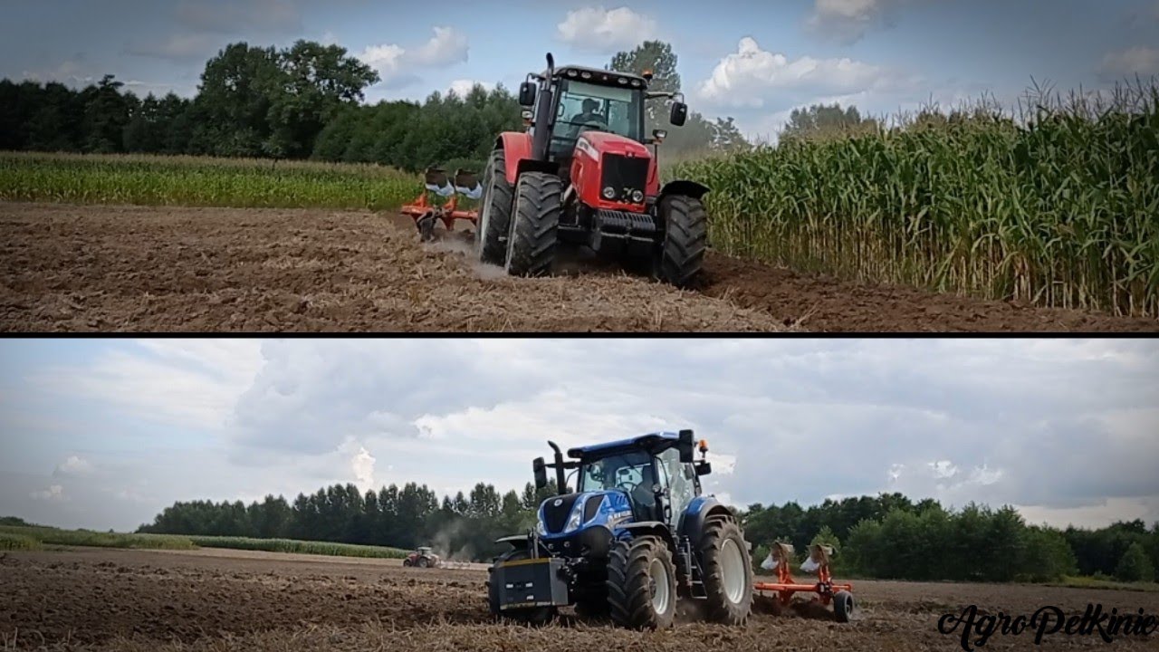 Orka pod rzepak 2021 ☆ Massey Ferguson 6485 & New Holland T7.165S ★Podkarpacie★