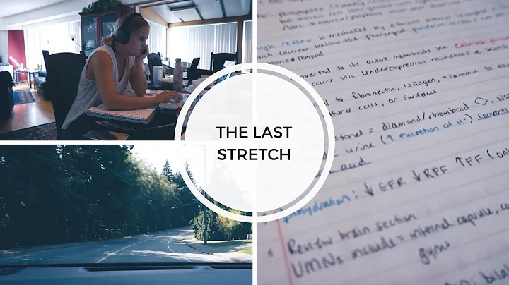 LAST 4 WEEKS BEFORE STEP 1: HOW I STUDIED