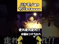 大人気のホラーゲームが怖いけど面白すぎる #shorts #ホラゲー #ゲーム実況 #horrorgaming #minecraft