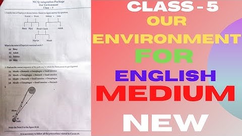 our environment model activity task class 5 english mcq adaptation pakage