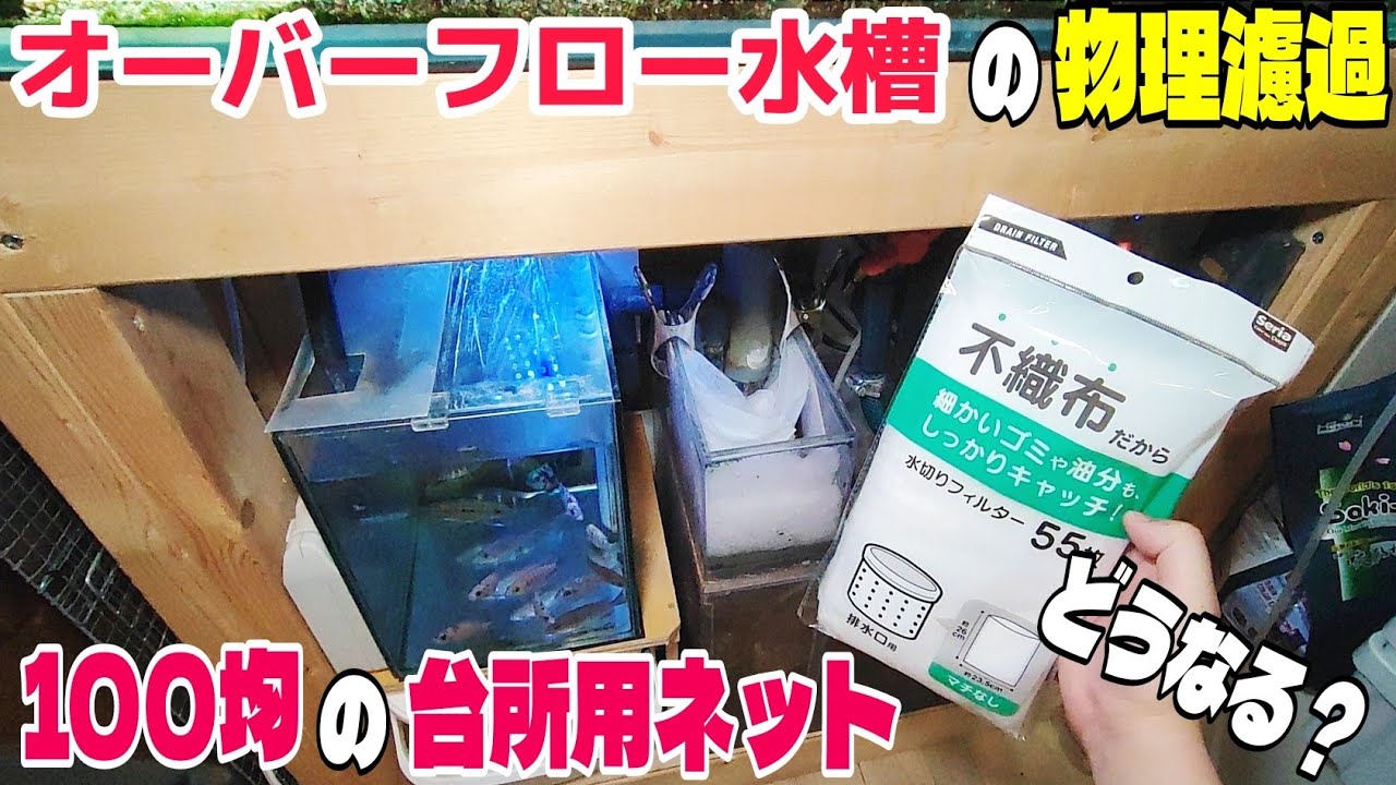 オーバーフロー水槽の物理ろ過を100均の台所用ネットに置き換えたら 