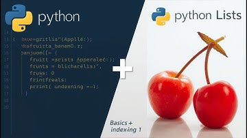 Python Lists: Basics, Indexing & Slicing