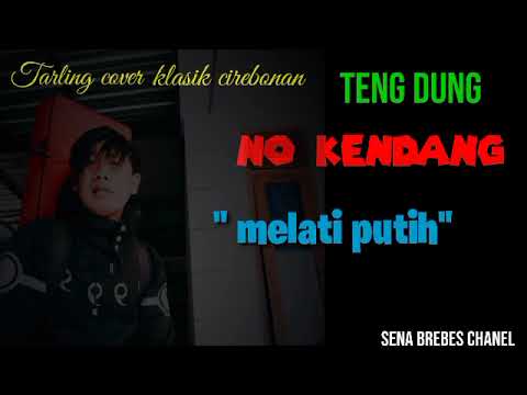MELATI PUTIH#karaoke #musiktanpakendang #tarlingtengdung #tarlingklasik #tarlingcover