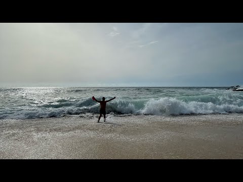 Vídeo: L'herència persa en la pintura de l'artista iranià Kamrooz Aram