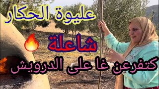 ولد الجماعة دير العز لراسك ولا كحز.الحكرة اللي حكرك ماتبغيهاش لعدوك.