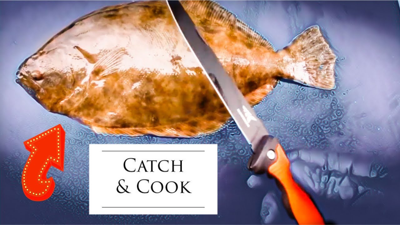 Catch and cook flounder, this recipe is delicious. (fluke recipe) YouTube
