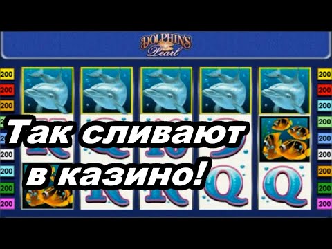 Казино и ассортимент игровых автоматов