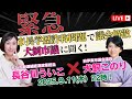 伊東市で何が？市長学歴詐称問題で議会解散！犬飼このり市議と緊急対談！