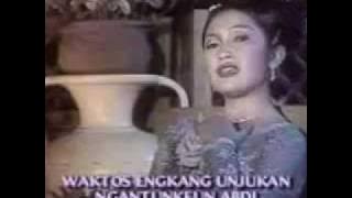 Erna Arsylia: Anggrek bulan