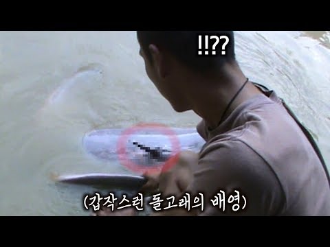 아마존 핑크 돌고래가 보여준 충격적인 물건