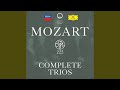 Miniature de la vidéo de la chanson Piano Trio In G Major, K496: Ii. Andante