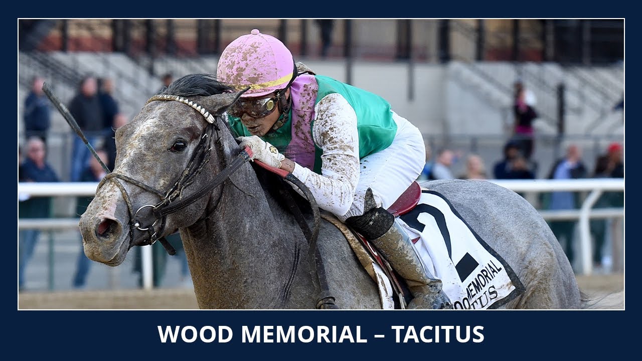 horse racing news Tacitus - 2019 - The Wood Memorial Stakes