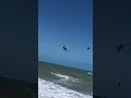#gopro #kitesurfing #kites #surf #kitesurf #crash