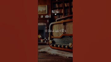 سوره نوح🤍♥️ | تلاوة خاشعة للشيخ سعد الغامدي ❤️ #تلاوة_خاشعة #راحة_نفسية #قران_كريم #قرآن #quran