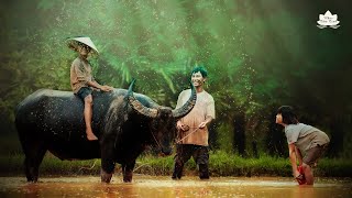 Nhạc quê hương không lời hay nhất - Ai nghe cũng nhớ quê nhà