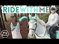GoPro Ride a Horse in the Forest with Me! Groom Tack Up and Get Ready with Me | This Esme