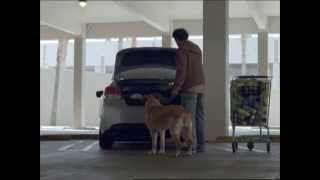 Rimrock Subaru - Make the Most of Life